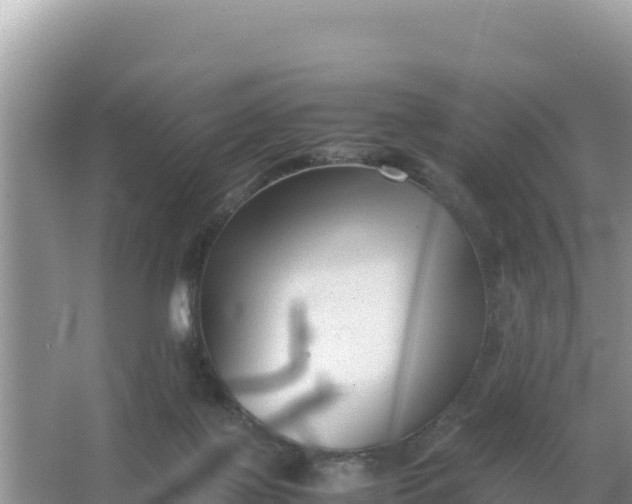 X0000066960075200604072015