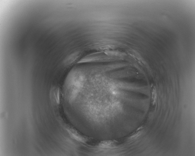 X0000066960076200604072015