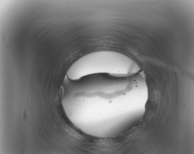 X0000066960077200604072015