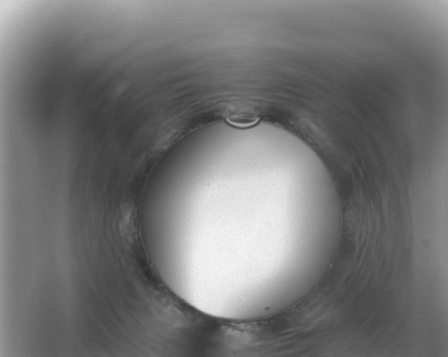 X0000066960079200604072015