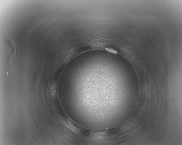 X0000066960081200604072015