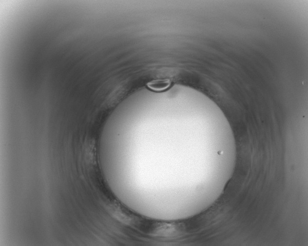 X0000066960083200604072015