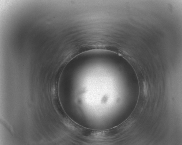 X0000066960084200604072015