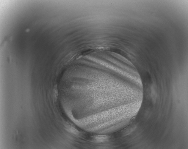 X0000066960085200604072015