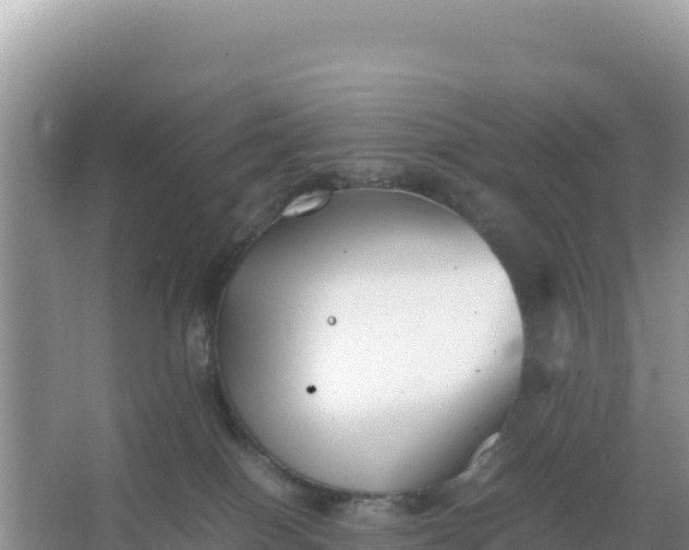 X0000066960086200604072015