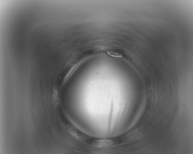 X0000066960087200604072015