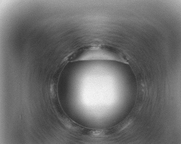 X0000066960088200604072015