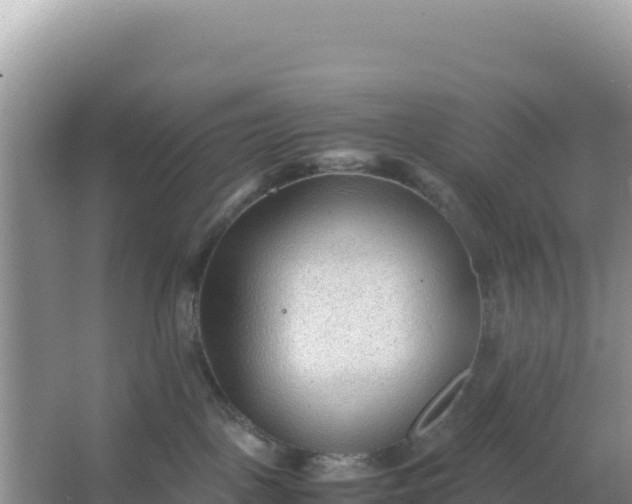 X0000066960093200604072015