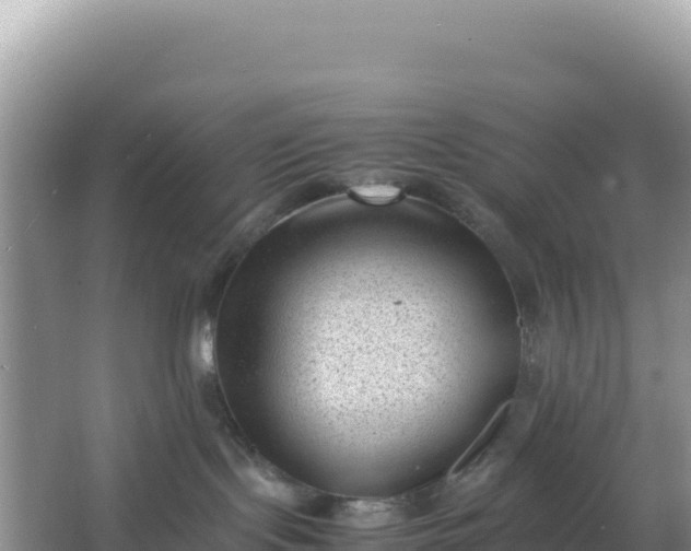 X0000066960095200604072015