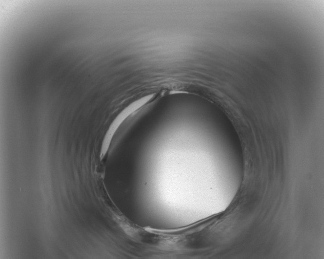 X0000066960096200604072015