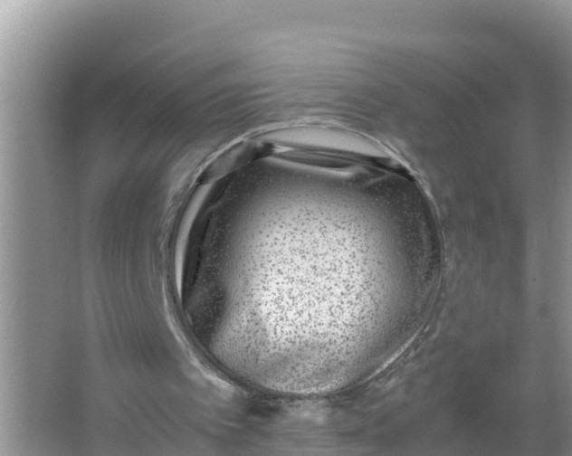 X0000066960097200604072015