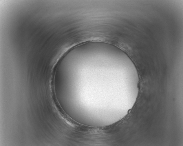 X0000066960098200604072015