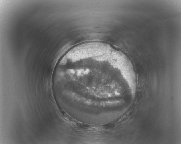 X0000066960099200604072015