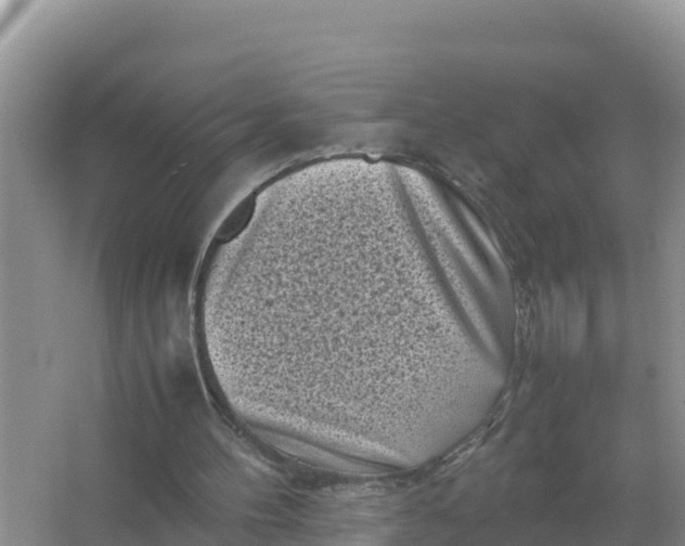 X0000066960100200604072015