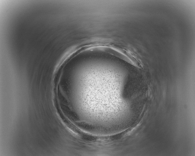 X0000066960101200604072015