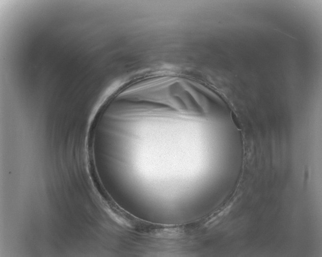 X0000066960102200604072015