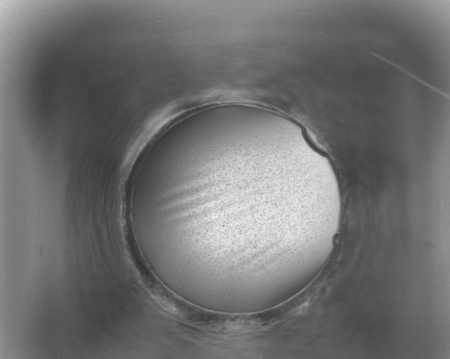 X0000066960103200604072015