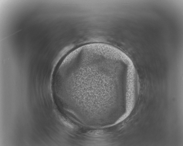 X0000066960104200604072015