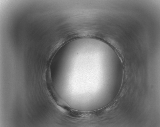 X0000066960105200604072015