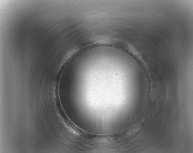 X0000066960106200604072015