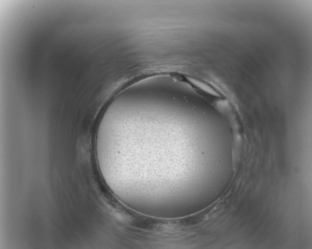 X0000066960107200604072015