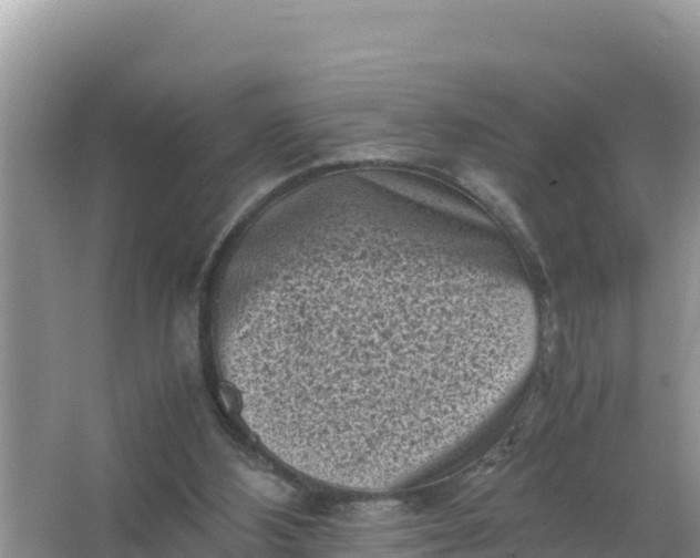 X0000066960108200604072015