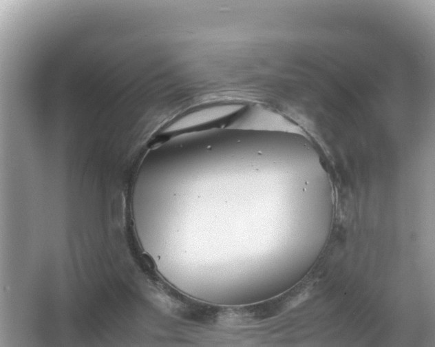 X0000066960109200604072014