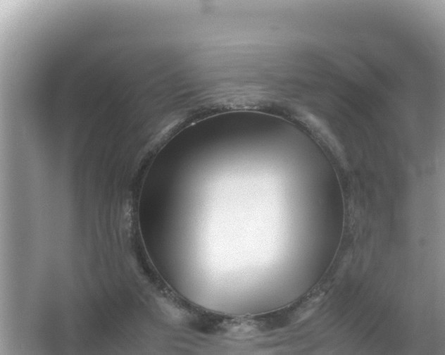 X0000066960113200604072014