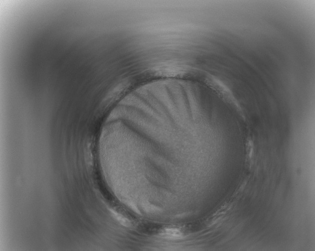 X0000066960114200604072014