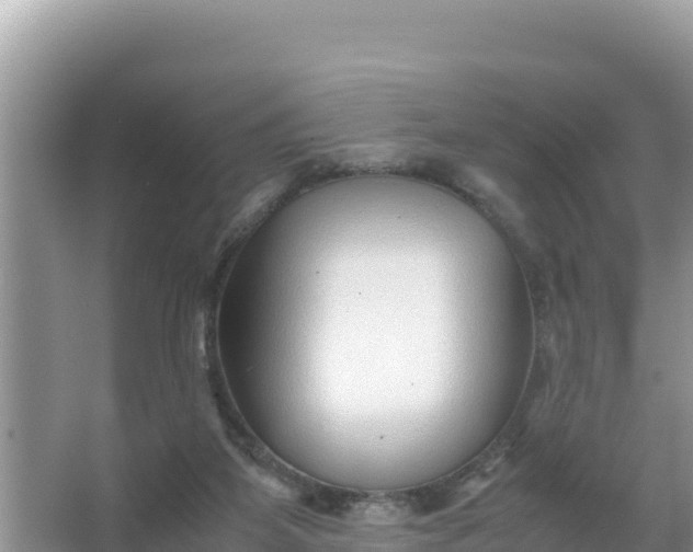 X0000066960115200604072014