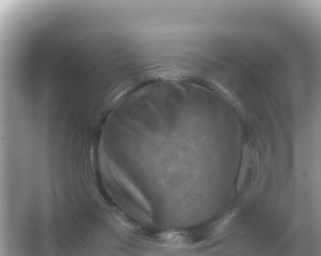 X0000066960117200604072014