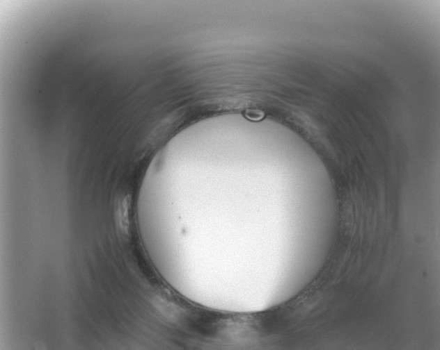 X0000066960118200604072014