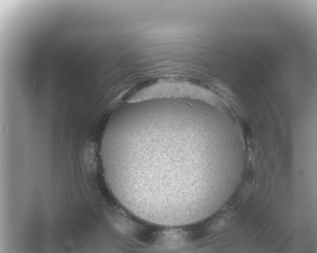 X0000066960121200604072014