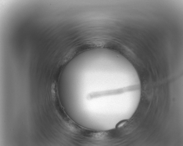 X0000066960122200604072014