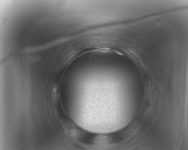 X0000066960123200604072014