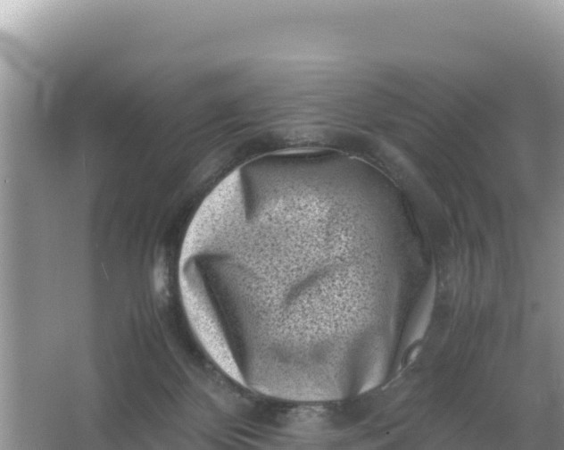 X0000066960124200604072014