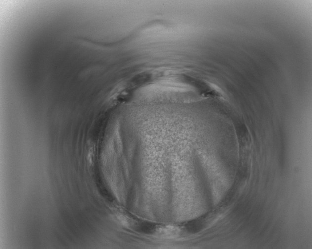 X0000066960125200604072014