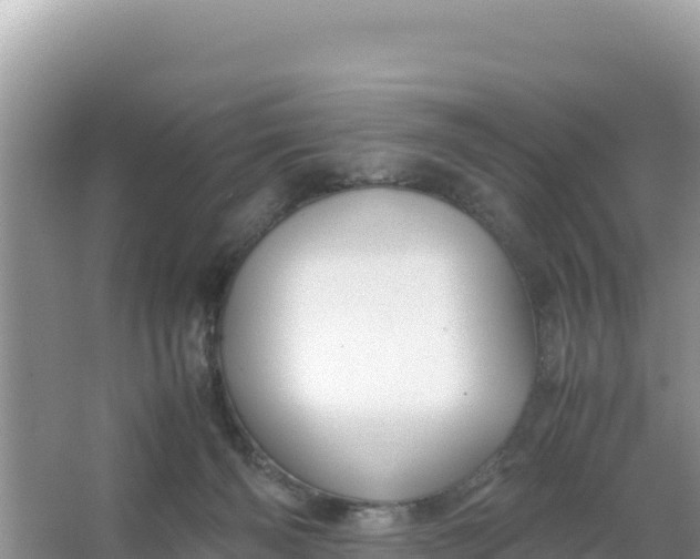 X0000066960126200604072014