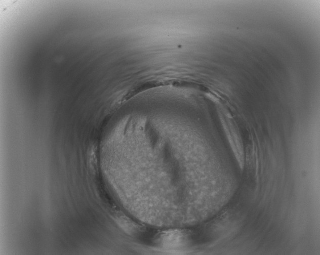 X0000066960127200604072014