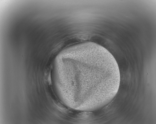 X0000066960128200604072014