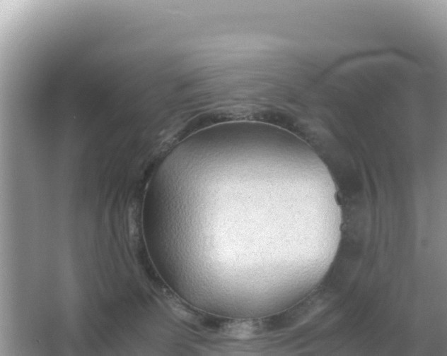 X0000066960131200604072014