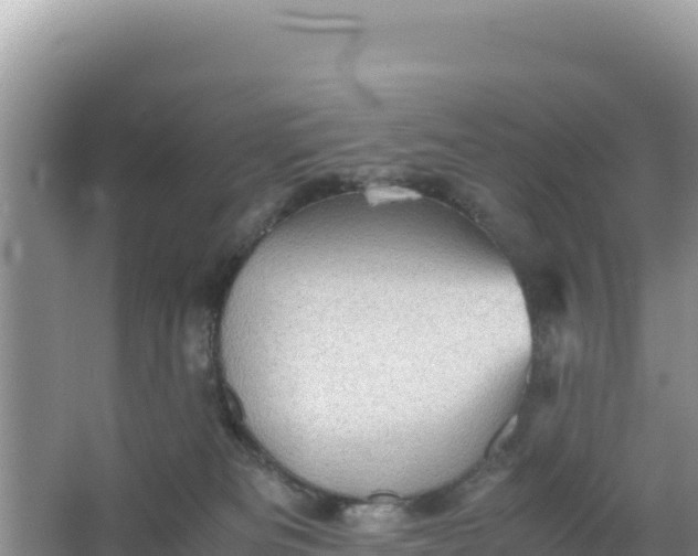 X0000066960133200604072014