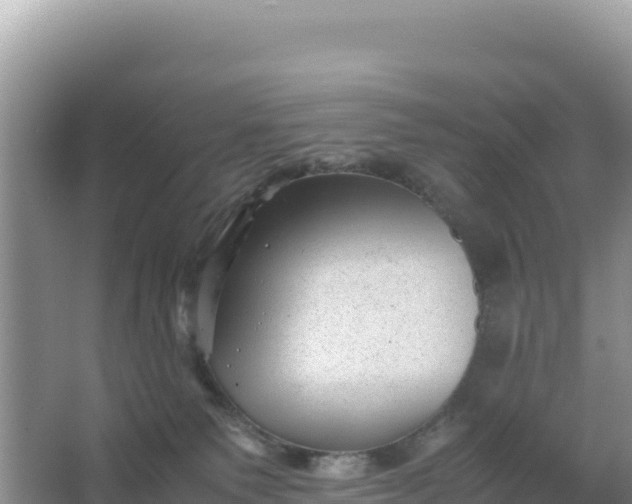 X0000066960135200604072014