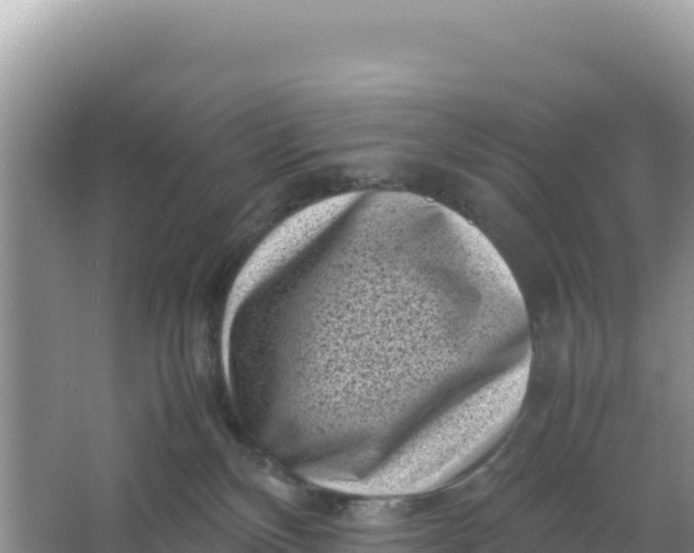 X0000066960136200604072014