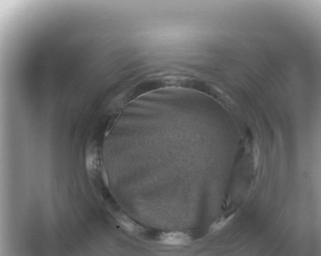 X0000066960137200604072014