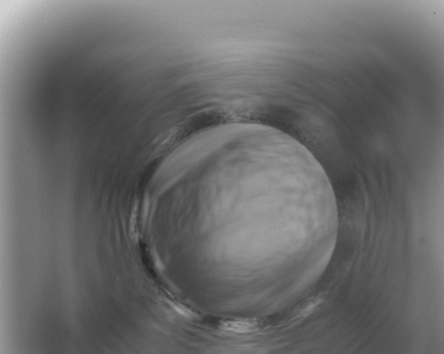 X0000066960139200604072014