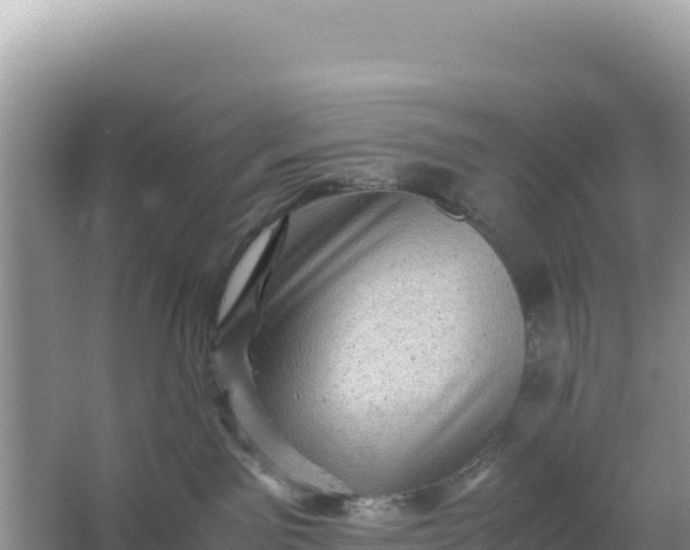 X0000066960141200604072014