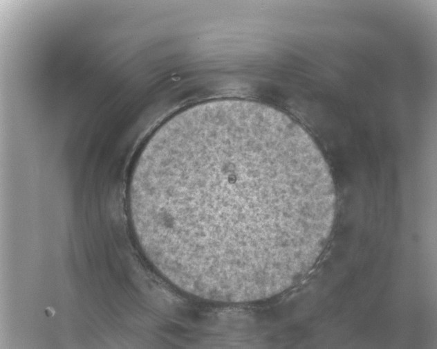 X0000066960146200604072013