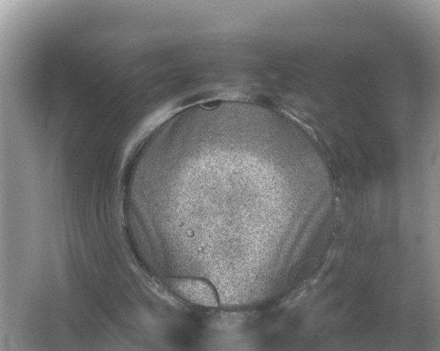 X0000066960149200604072013