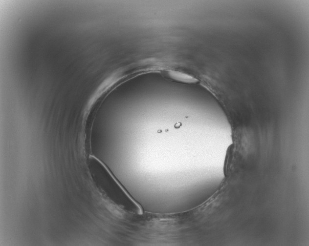 X0000066960150200604072013